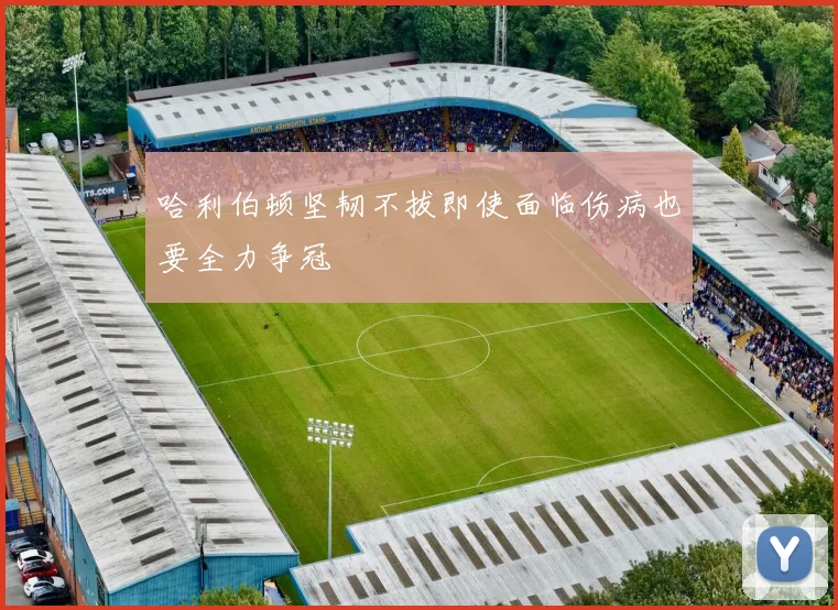 哈利伯顿坚韧不拔即使面临伤病也要全力争冠