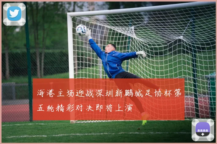 海港主场迎战深圳新鹏城足协杯第五轮精彩对决即将上演